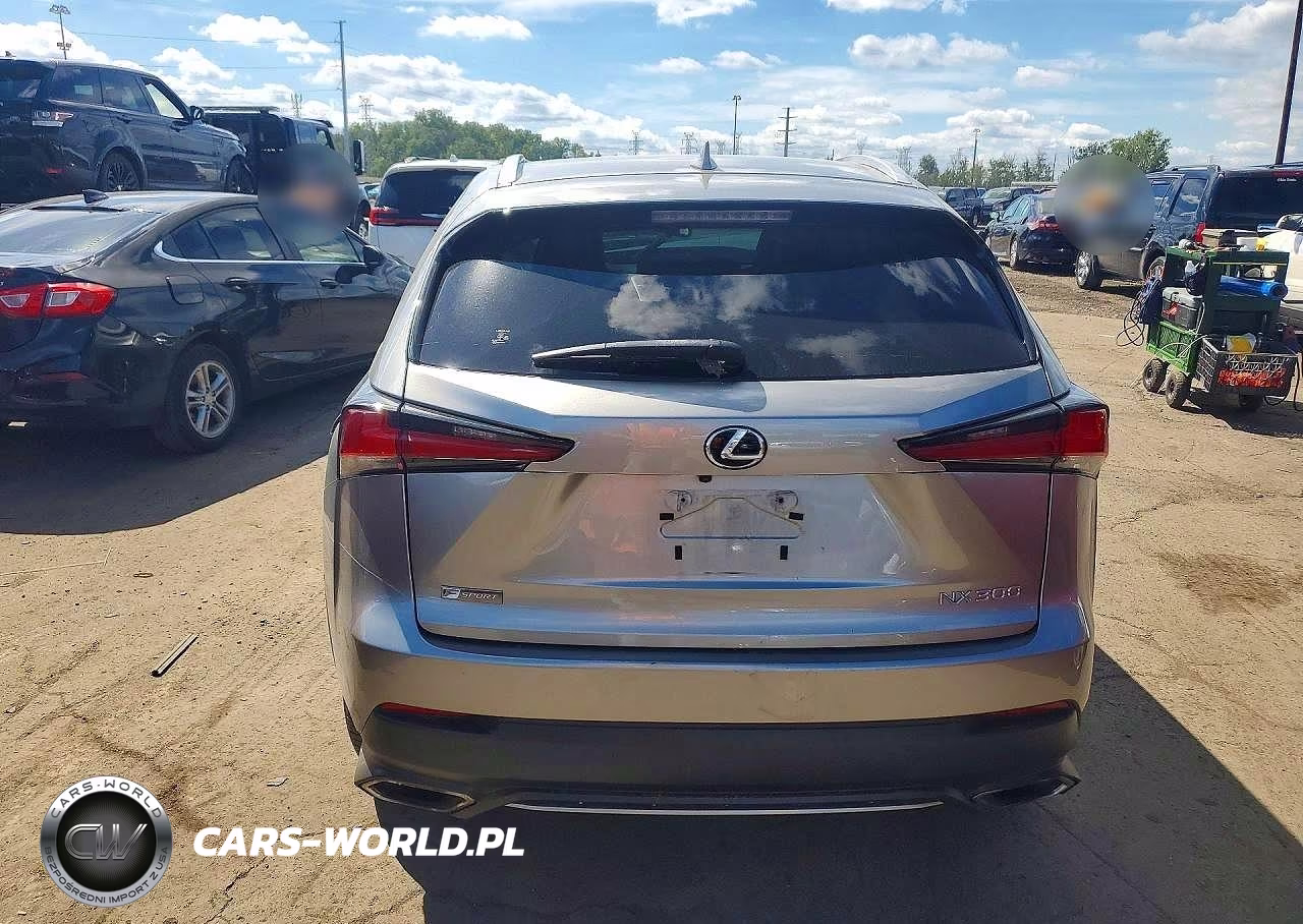 2018 Lexus Nx 300 F Sport VIN:JTJBARBZ6J2153541 - 6