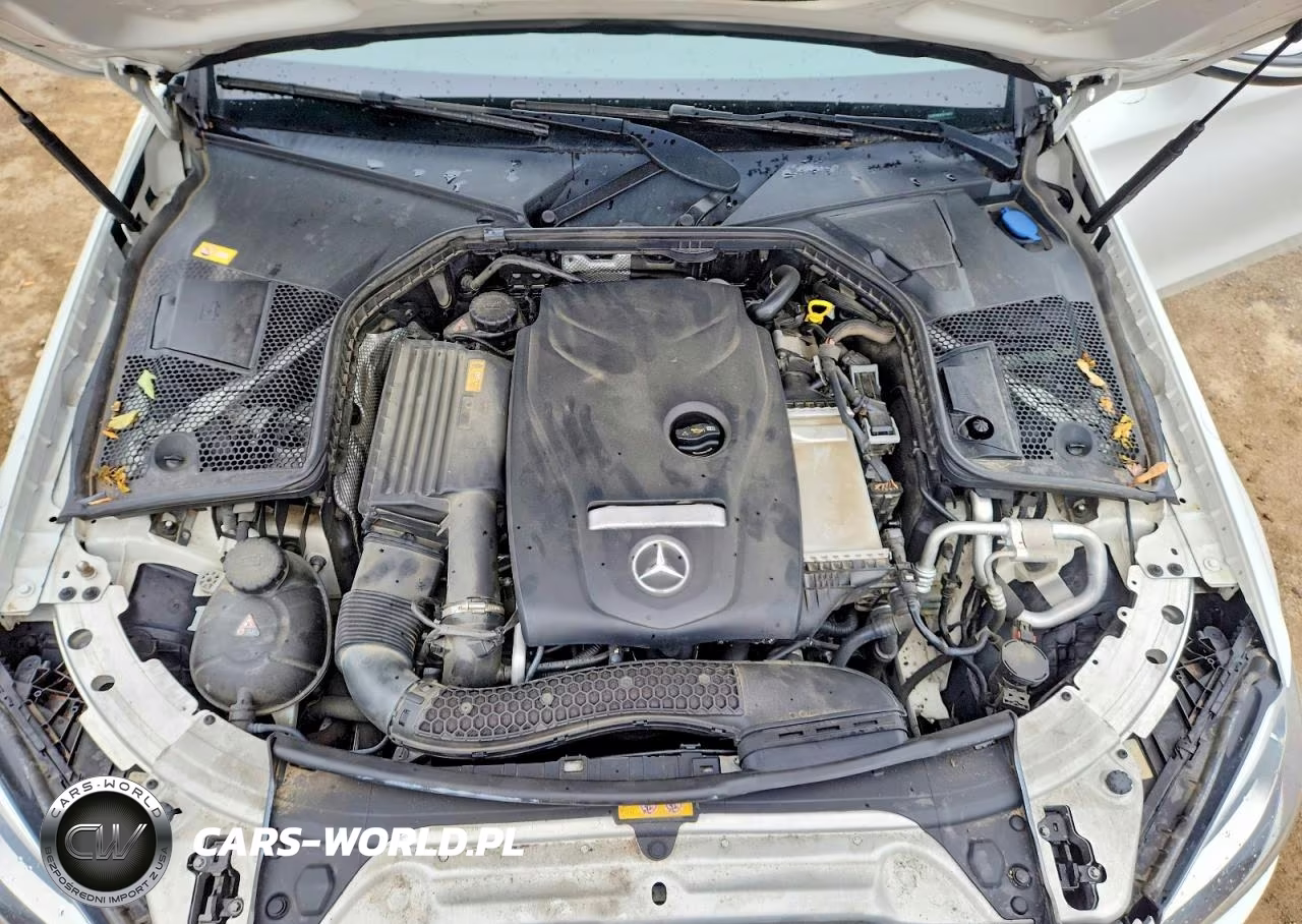 2016 Mercedes-Benz C 300 4Matic VIN:55SWF4KB4GU146832 - 11