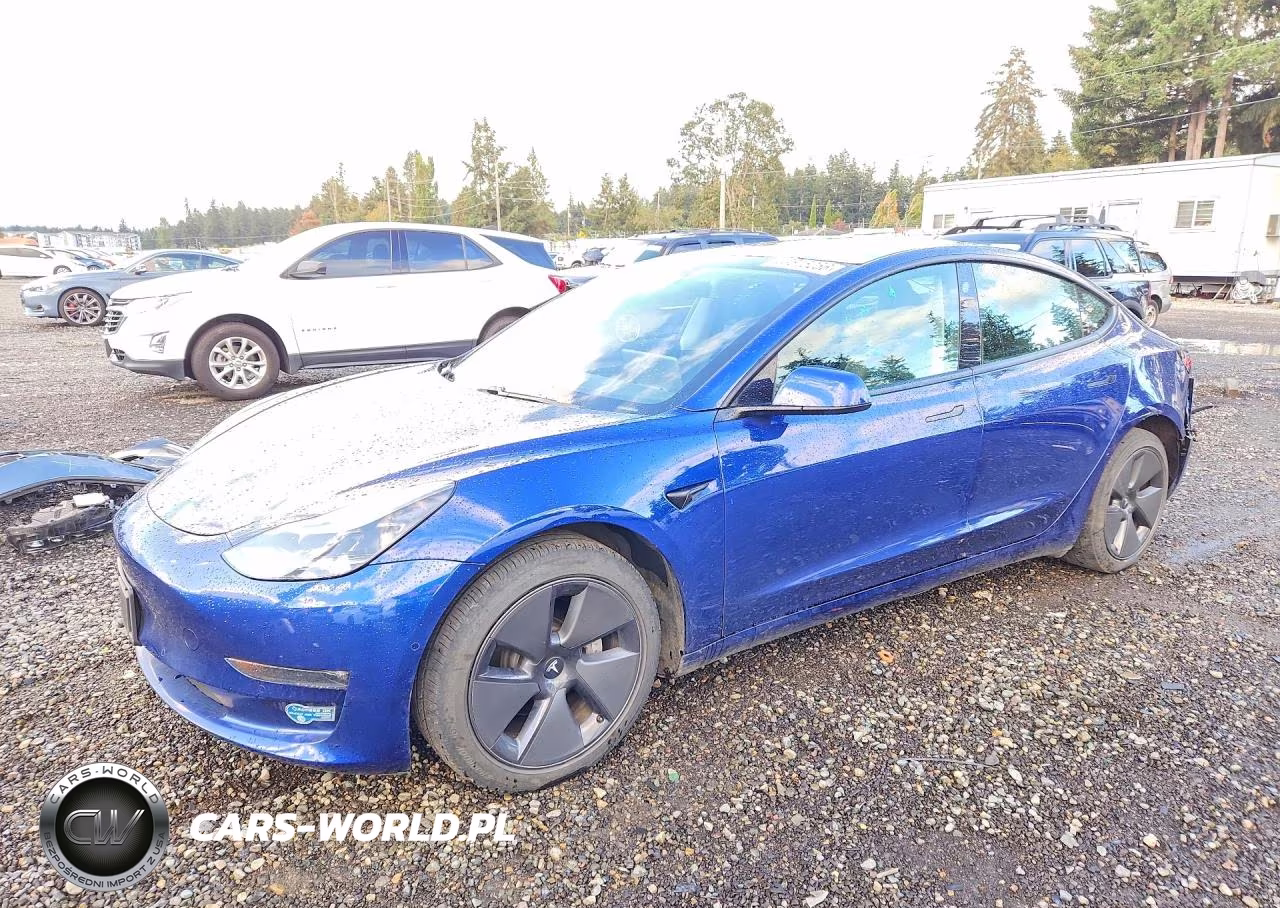 2021 Tesla Model 3 VIN:5YJ3E1EB9MF003680 - 1