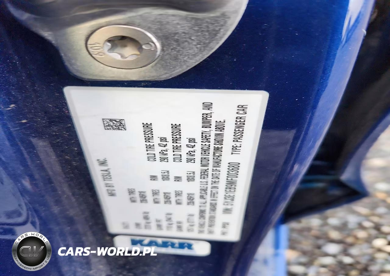 2021 Tesla Model 3 VIN:5YJ3E1EB9MF003680 - 12