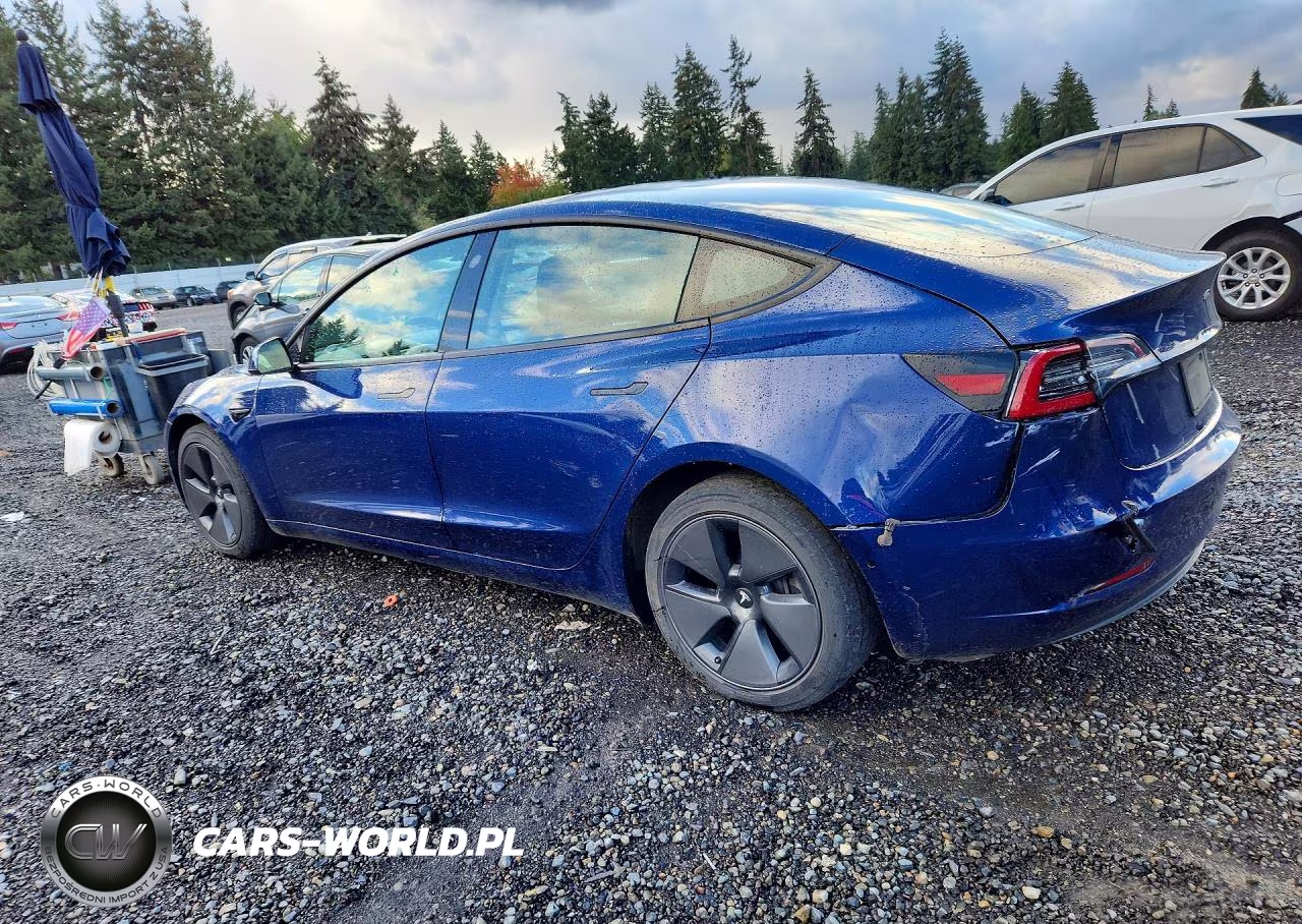 2021 Tesla Model 3 VIN:5YJ3E1EB9MF003680 - 2