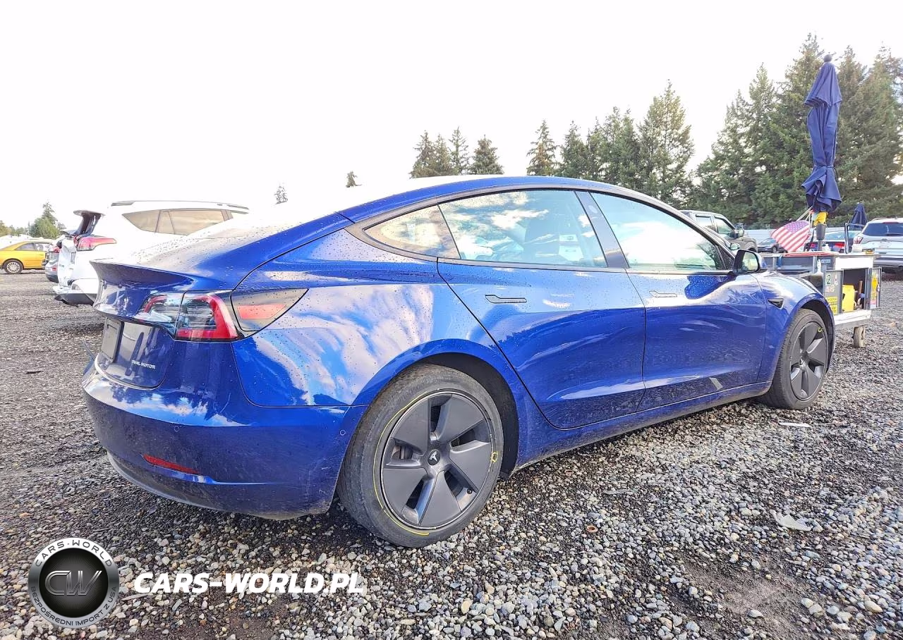 2021 Tesla Model 3 VIN:5YJ3E1EB9MF003680 - 3