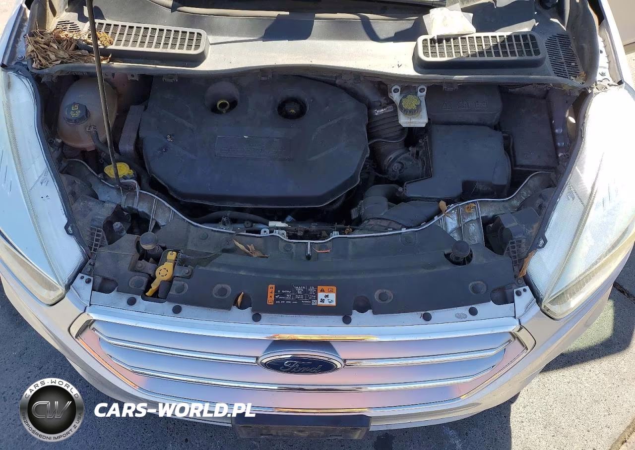 2017 Ford Escape Se VIN:1FMCU0G95HUA04423 - 12
