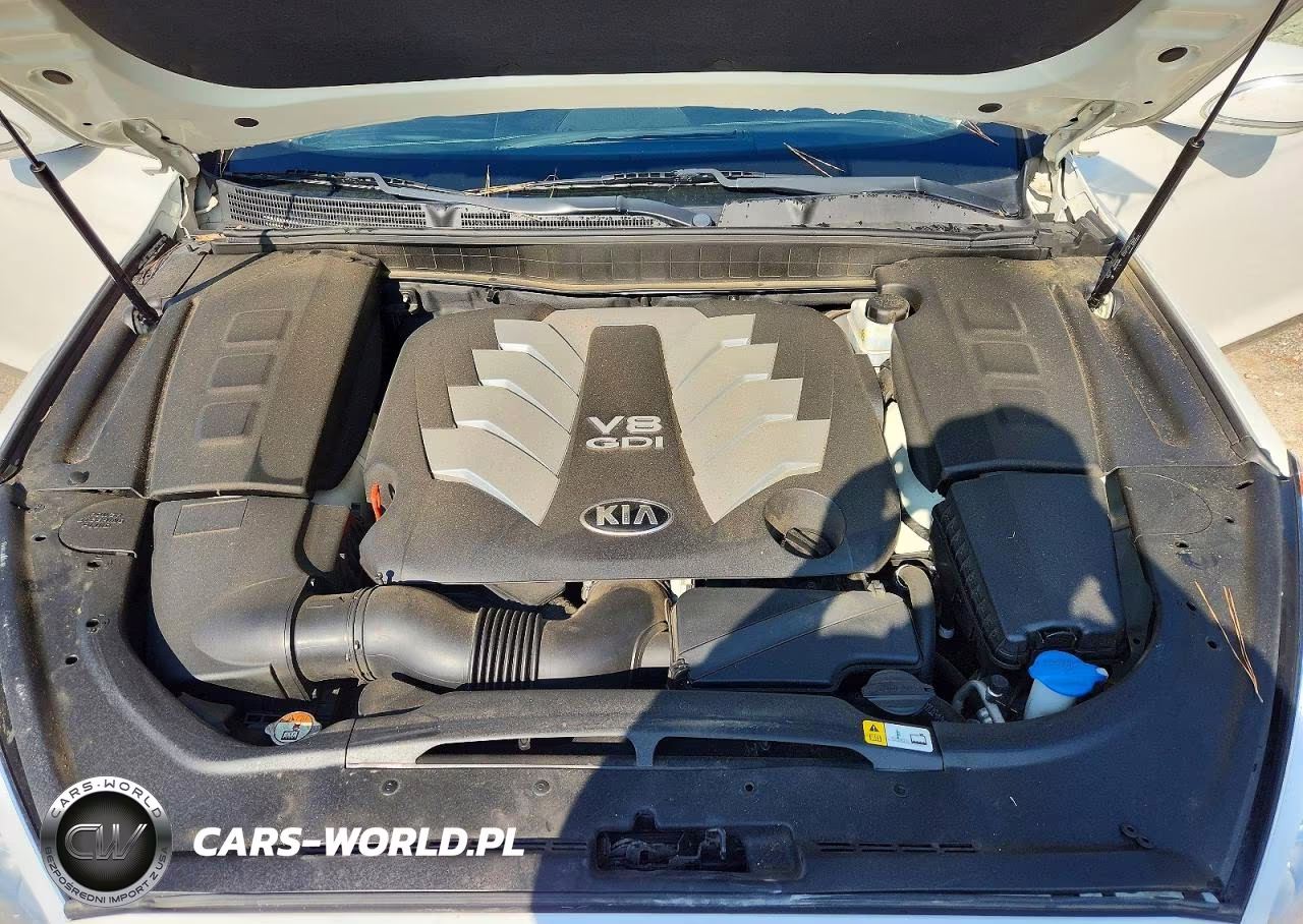 2015 Kia K900 Premium VIN:KNALU4D43F6026746 - 11