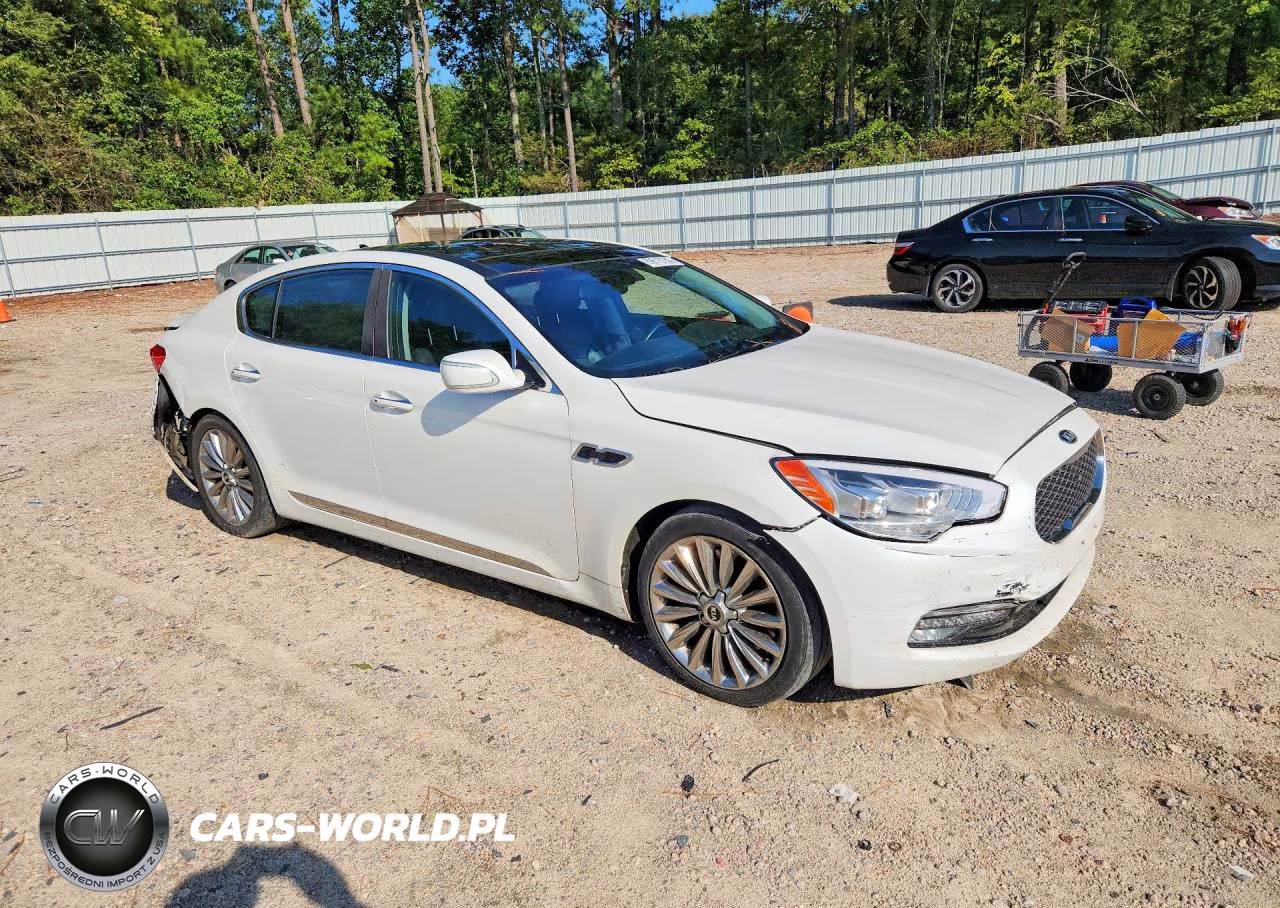 2015 Kia K900 Premium VIN:KNALU4D43F6026746 - 4