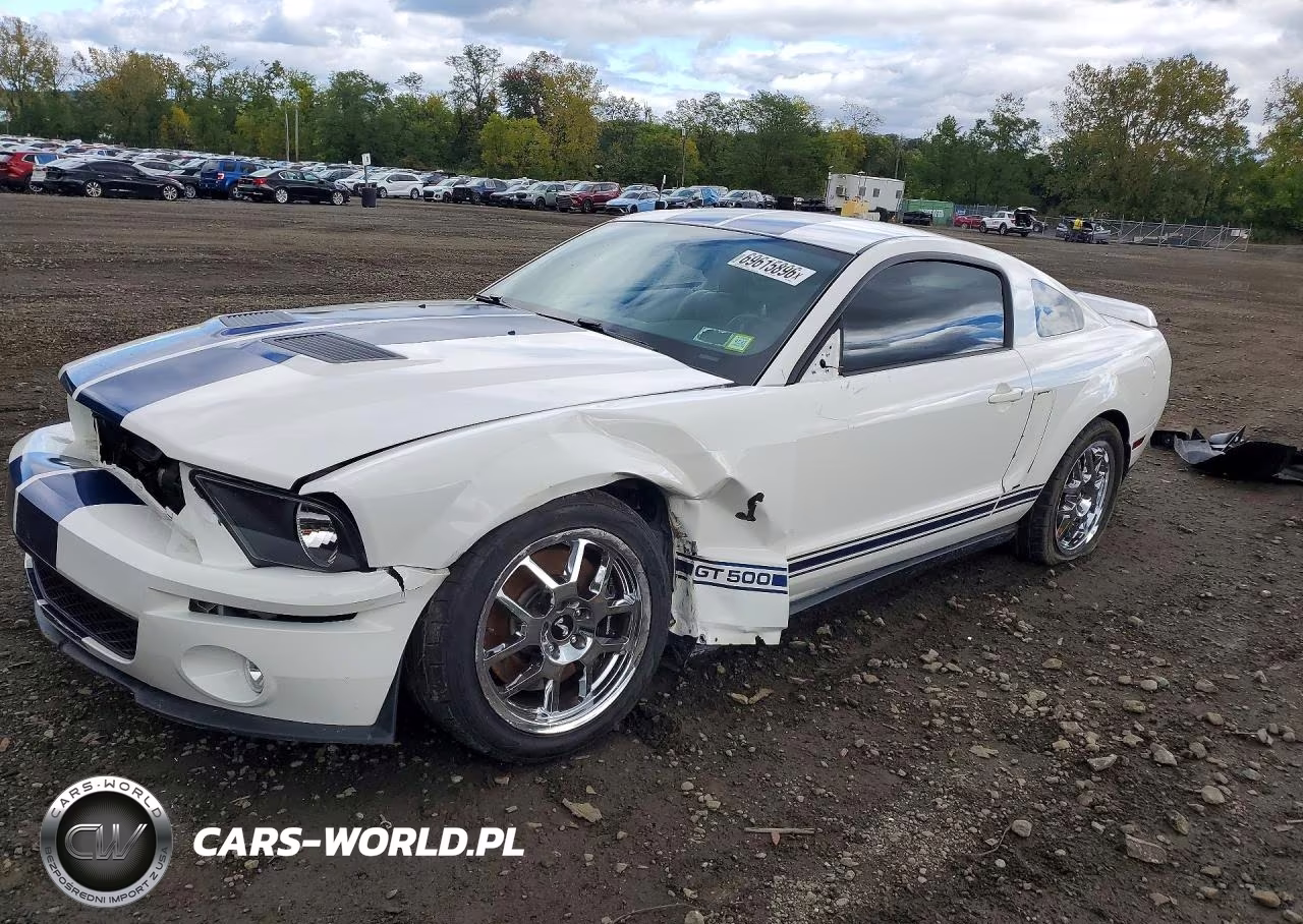 2007 Ford Mustang Shelby Gt500 – zdjęcie 1 z 13