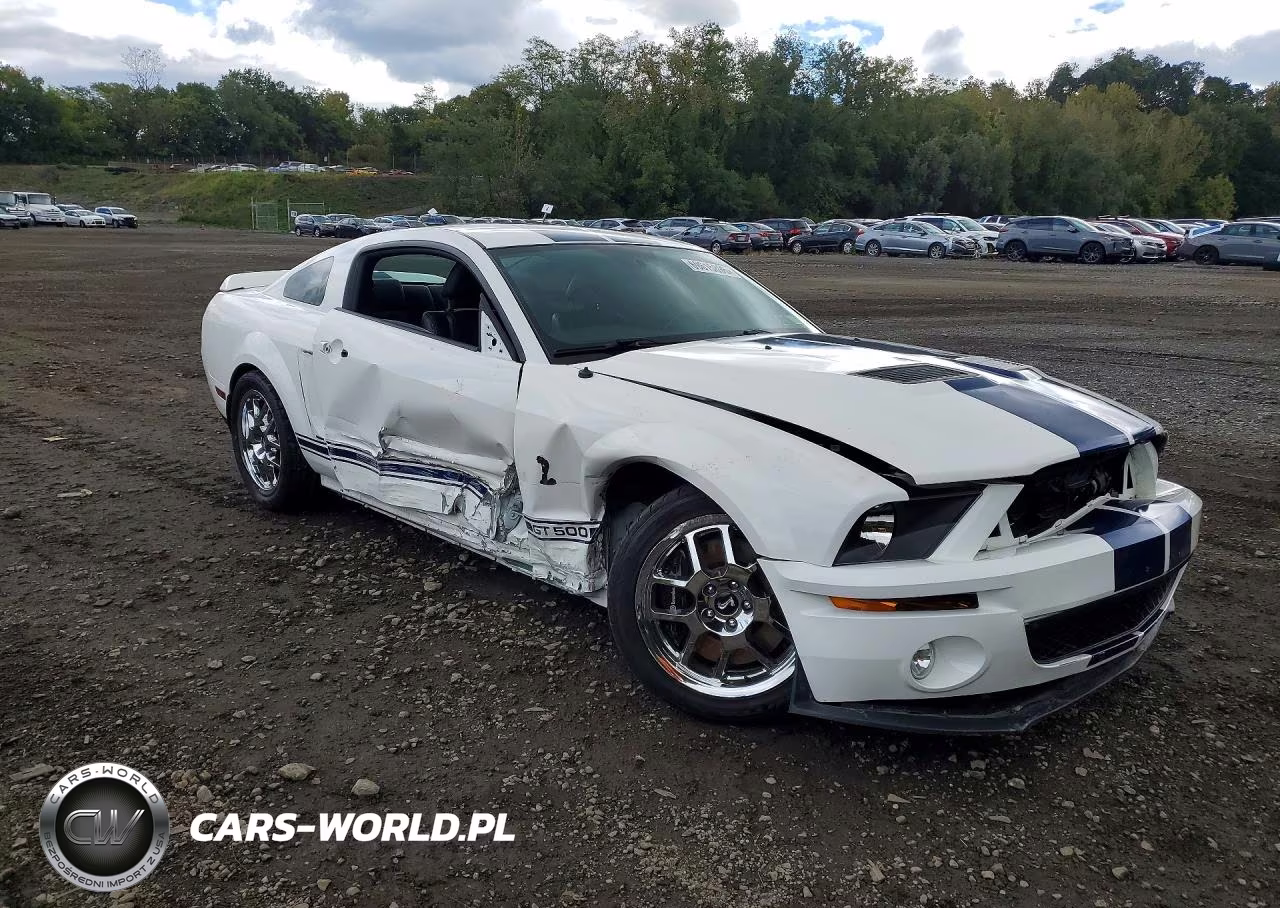2007 Ford Mustang Shelby Gt500 VIN:1ZVHT88S175240330 - 4