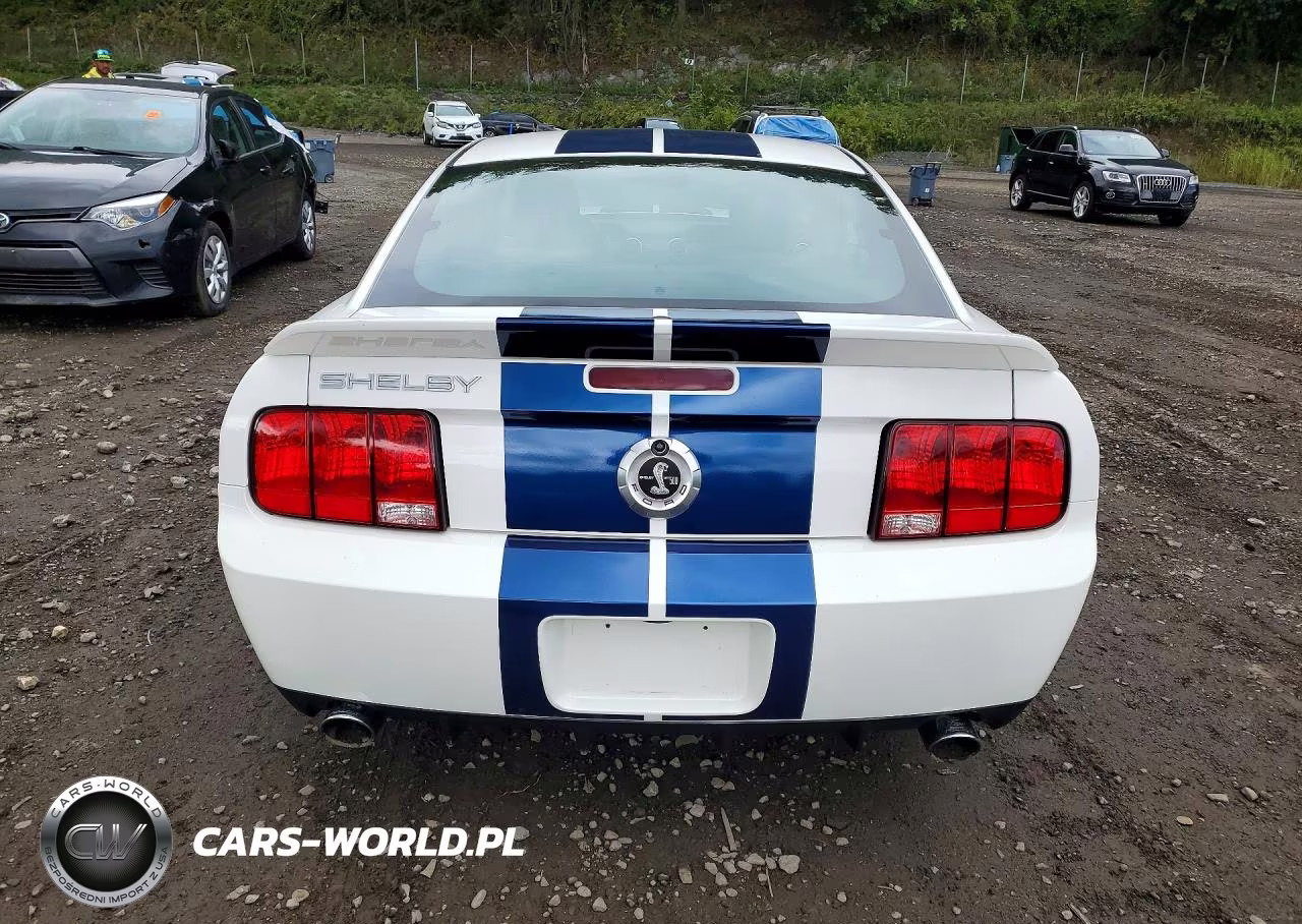 2007 Ford Mustang Shelby Gt500 VIN:1ZVHT88S175240330 - 6