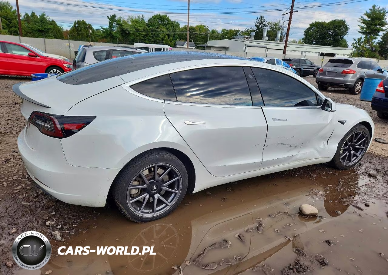 2020 Tesla Model 3 VIN:5YJ3E1EA3LF799882 - 3