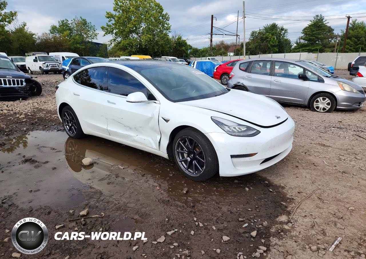 2020 Tesla Model 3 VIN:5YJ3E1EA3LF799882 - 4