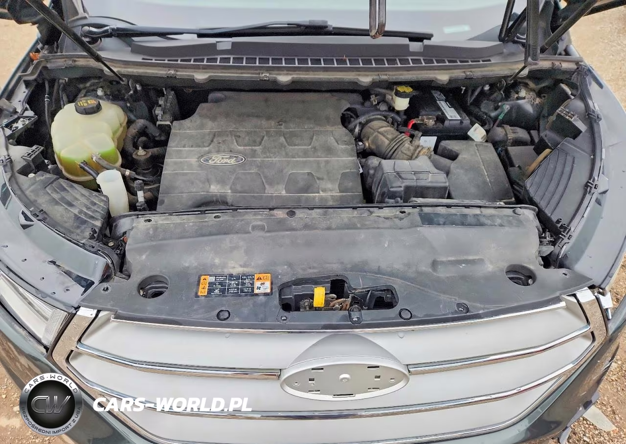 FORD EDGE SEL VIN:2FMTK4J86FBB51429 - 11