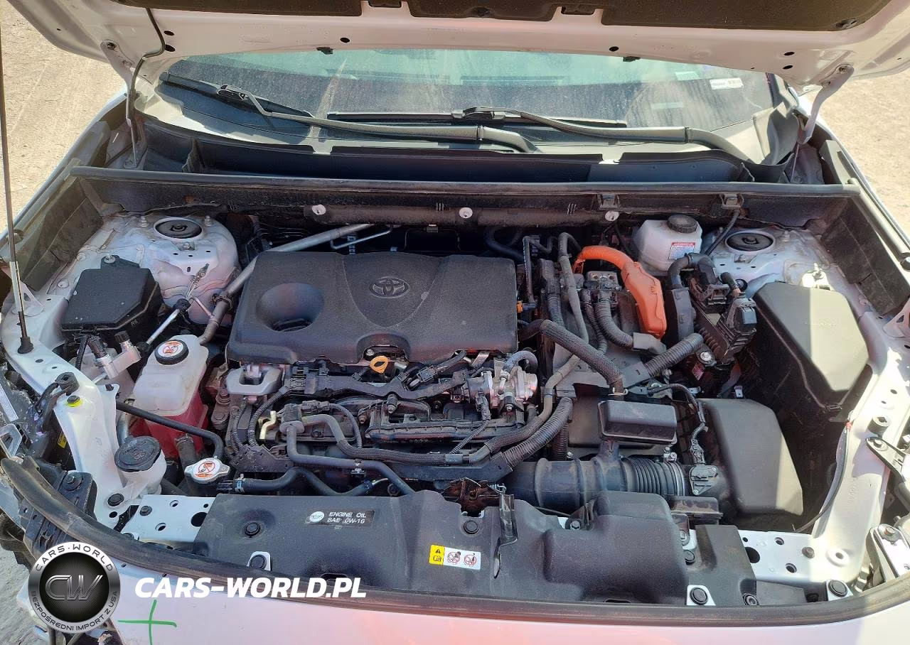 2024 Toyota Rav4 Xle Premium VIN:4T3B6RFV4RU147834 - 12