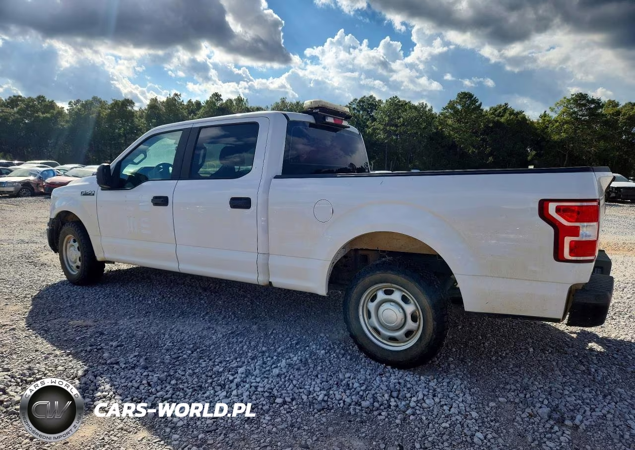 2020 Ford F150 Supercrew VIN:1FTEW1CP7LKE08636 - 2