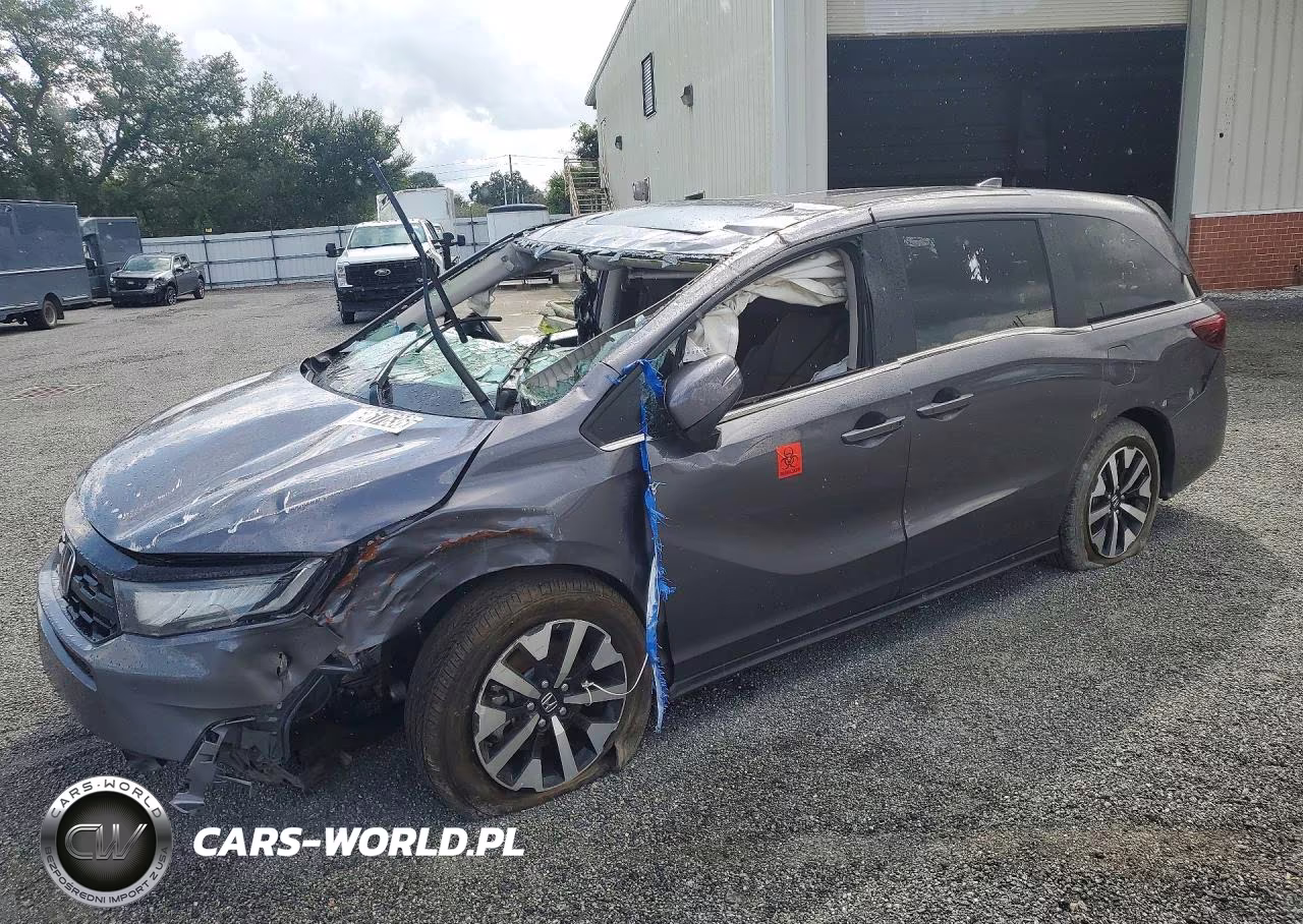 2025 Honda Odyssey Exl