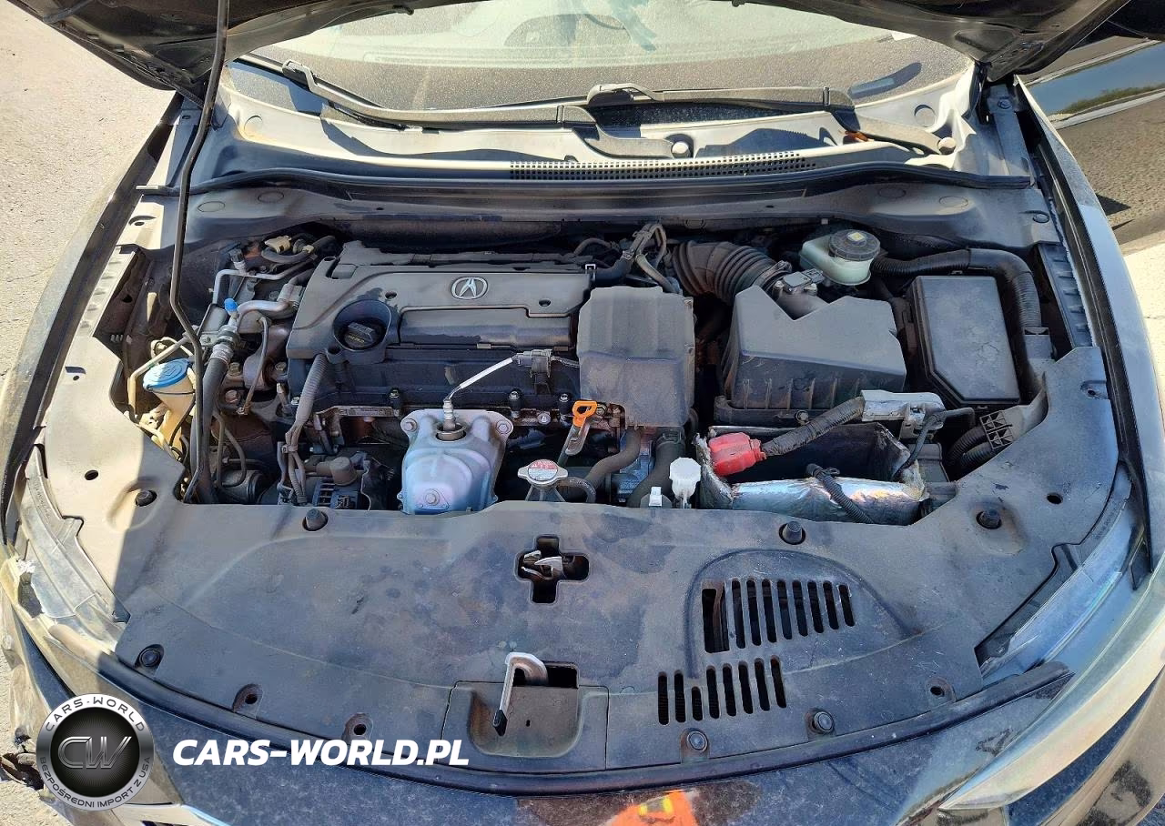 2019 Acura Ilx Premium VIN:19UDE2F7XKA006423 - 11