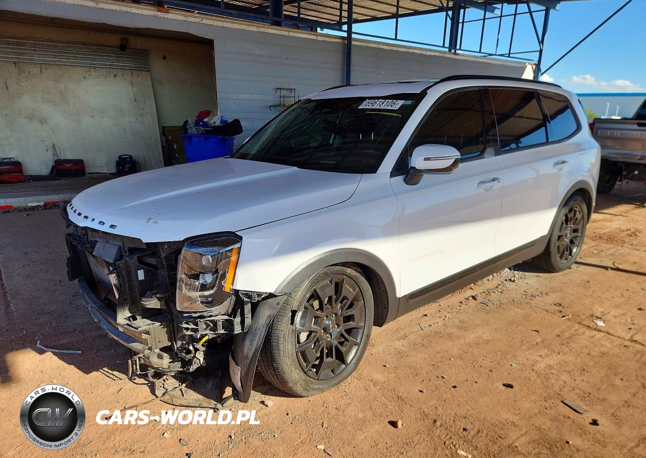 2022 Kia Telluride Sx VIN:5XYP5DHCXNG319011 - 1