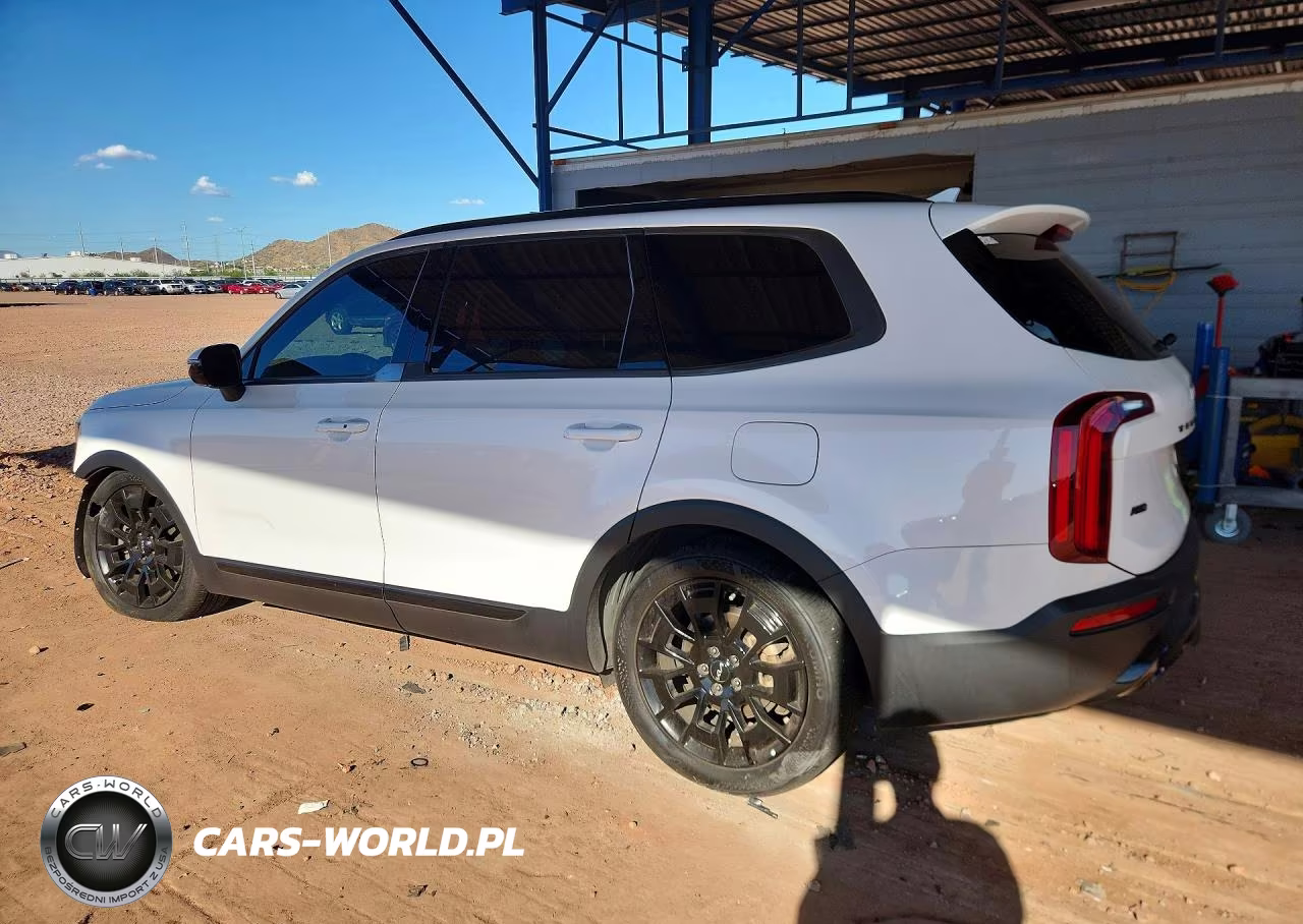 2022 Kia Telluride Sx VIN:5XYP5DHCXNG319011 - 2
