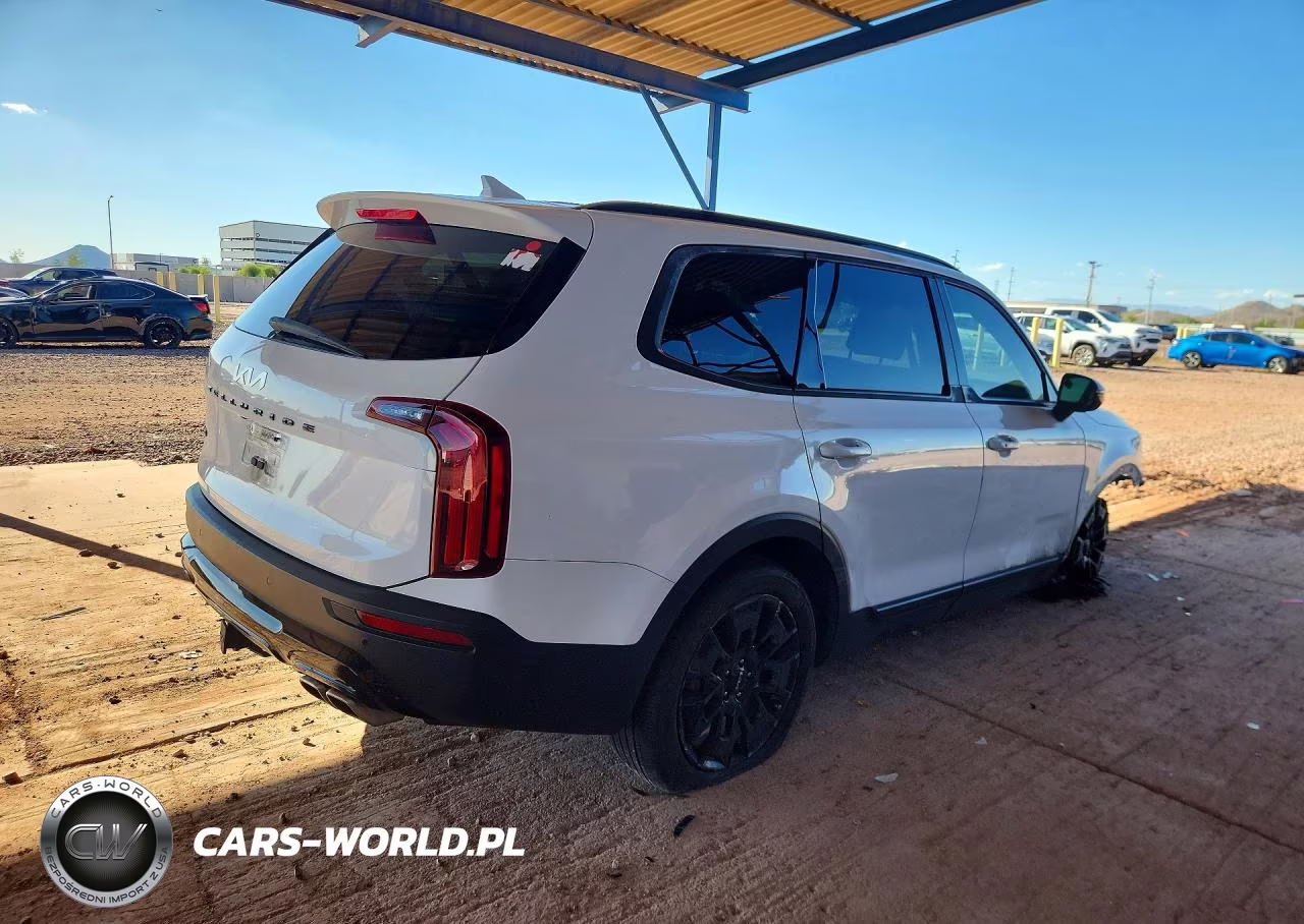 2022 Kia Telluride Sx VIN:5XYP5DHCXNG319011 - 3