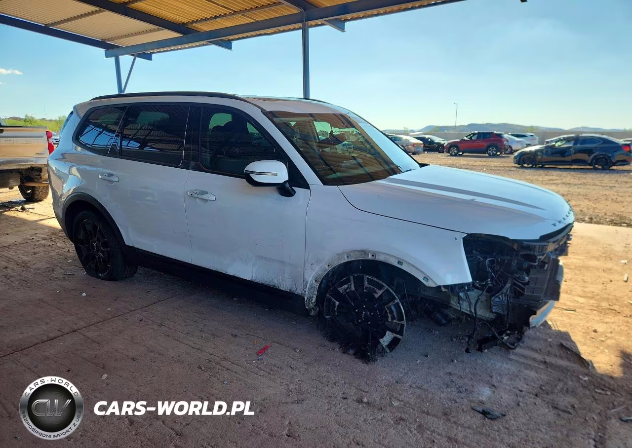 2022 Kia Telluride Sx VIN:5XYP5DHCXNG319011 - 4