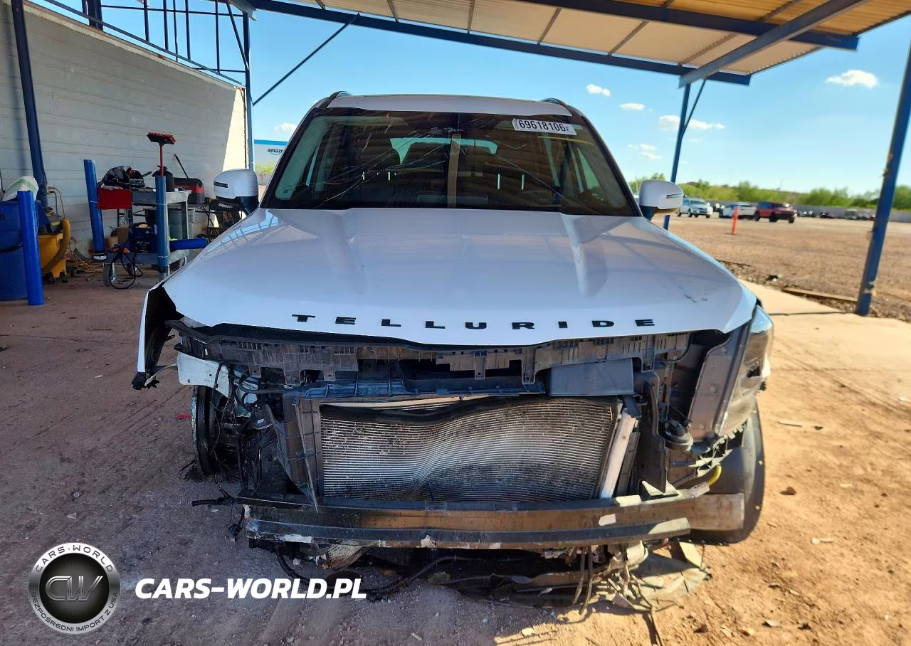 2022 Kia Telluride Sx VIN:5XYP5DHCXNG319011 - 5