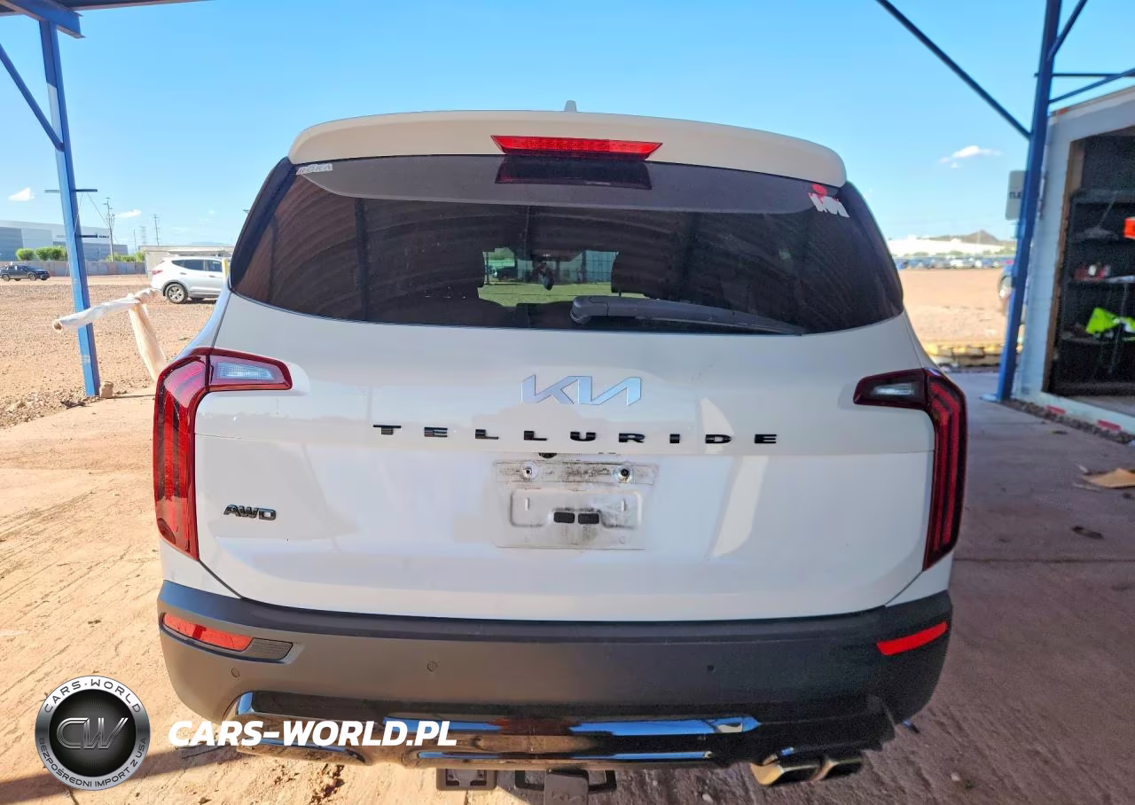 2022 Kia Telluride Sx VIN:5XYP5DHCXNG319011 - 6
