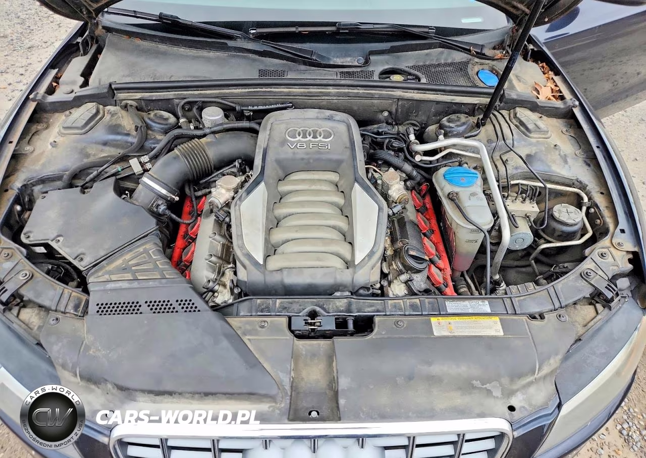 2012 Audi S5 Premium Plus VIN:WAUGVAFR3CA044193 - 11