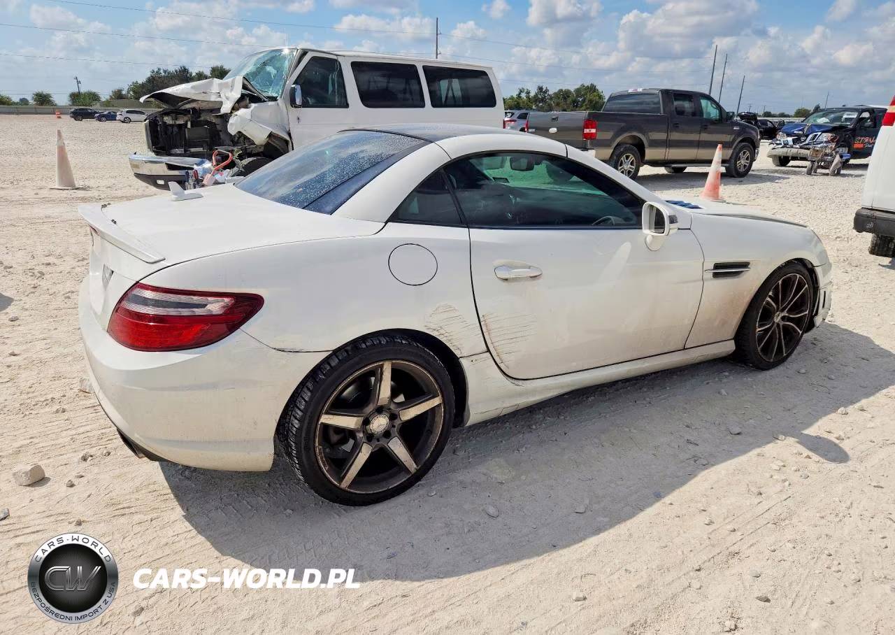 2015 Mercedes-Benz Slk 250 VIN:WDDPK4HA8FF108293 - 3