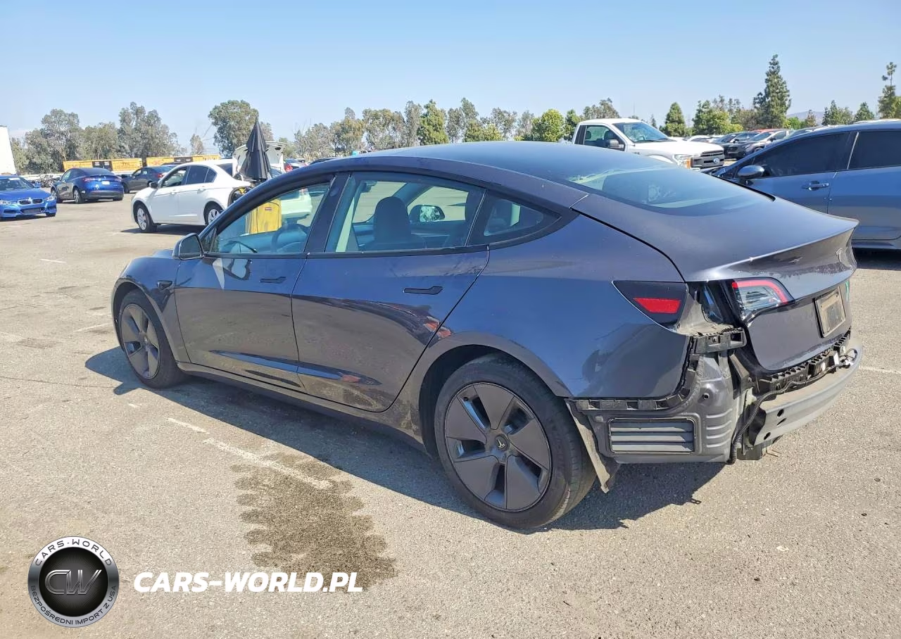 2023 Tesla Model 3 VIN:5YJ3E1EAXPF712081 - 2