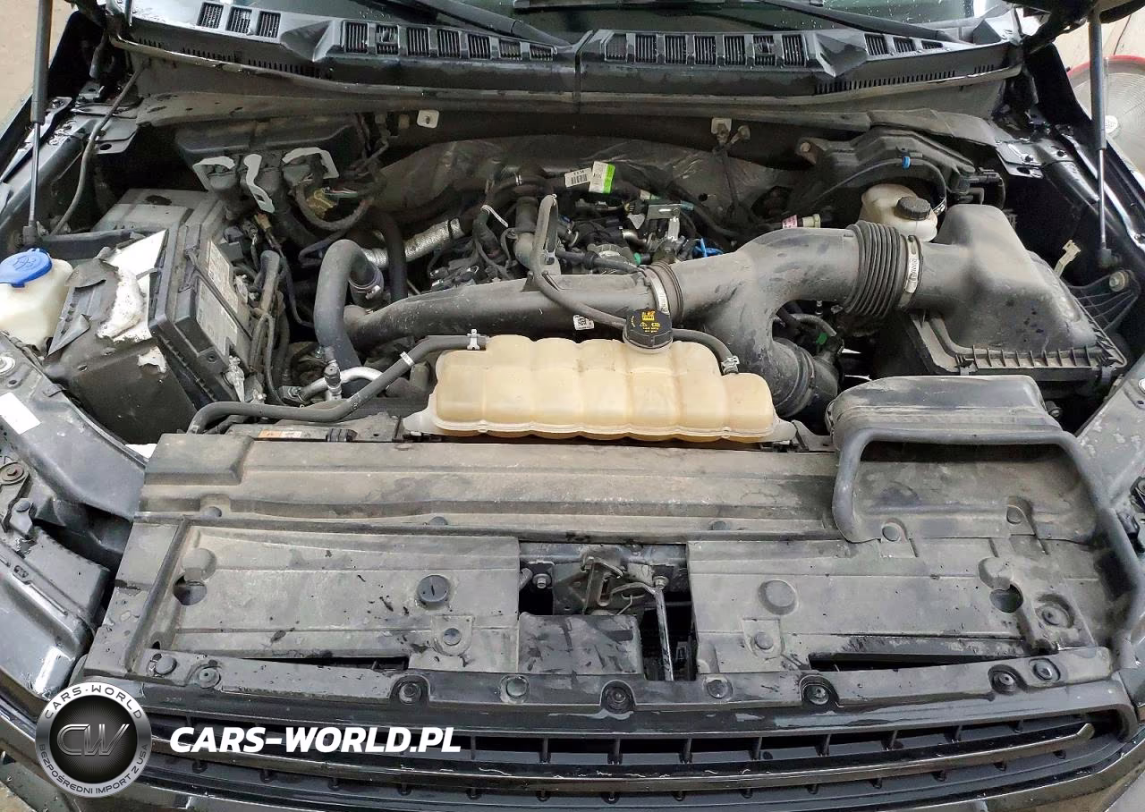2019 Ford F150 Supercrew VIN:1FTEW1EP9KFB23702 - 11