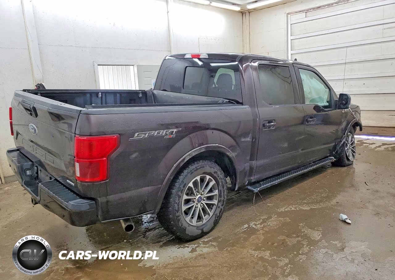 2019 Ford F150 Supercrew VIN:1FTEW1EP9KFB23702 - 3