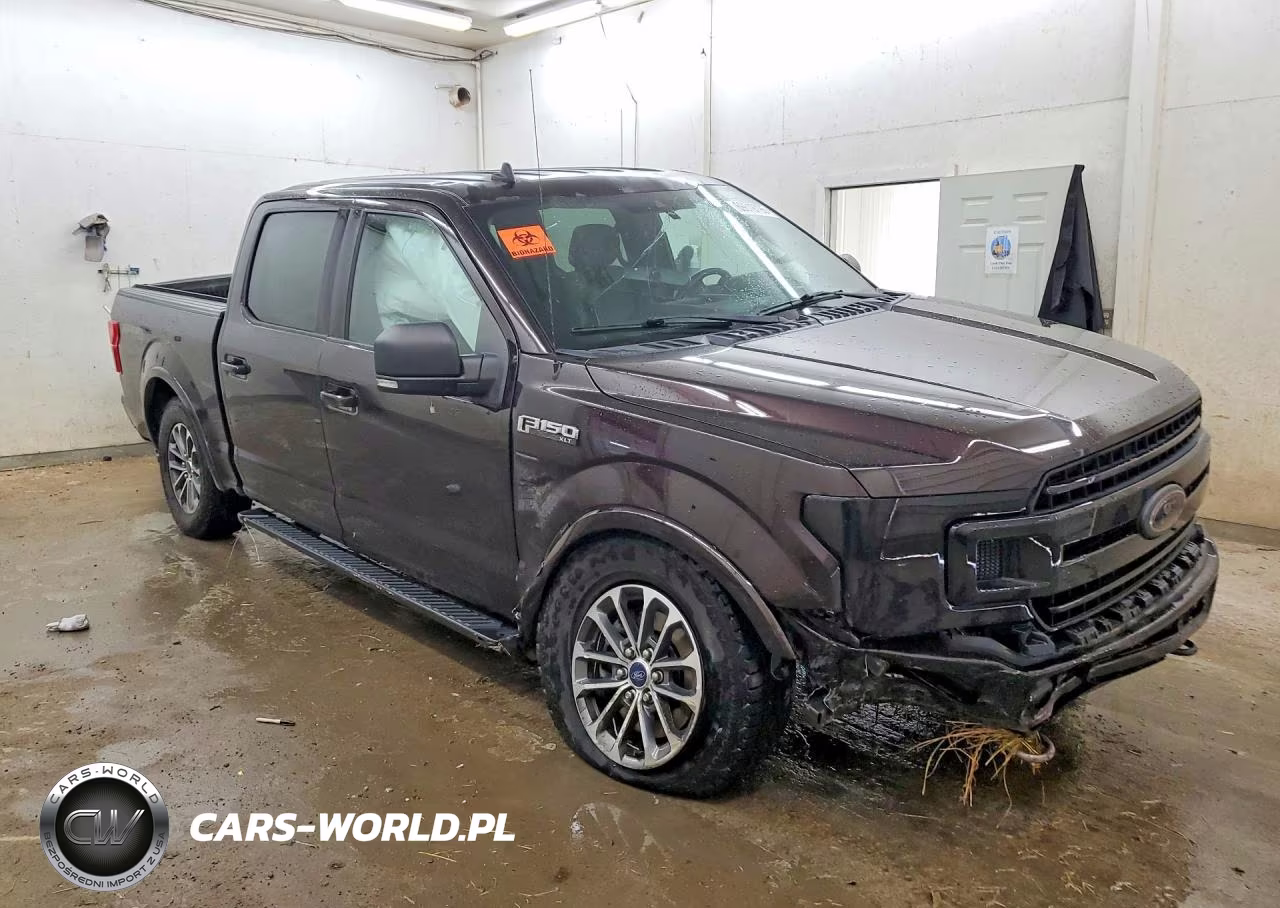 2019 Ford F150 Supercrew VIN:1FTEW1EP9KFB23702 - 4