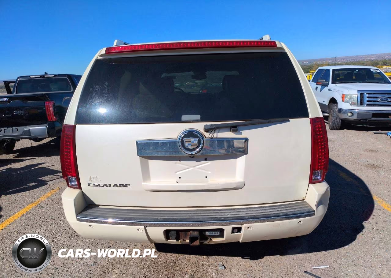 2007 Cadillac Escalade Luxury VIN:1GYFK63817R289219 - 6