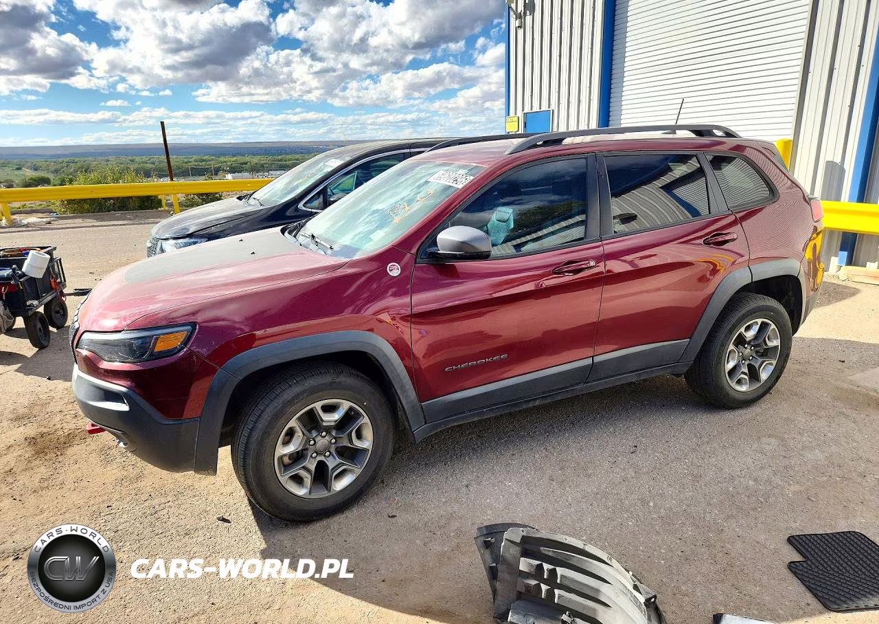 2019 Jeep Cherokee Trailhawk VIN:1C4PJMBN3KD227612 - 1