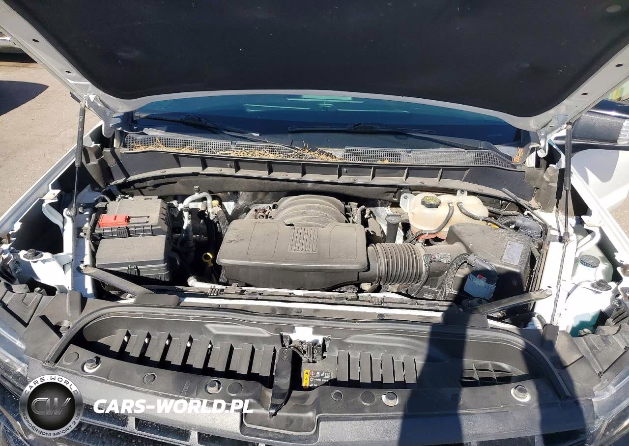2019 Chevrolet Silverado K1500 Lt Trail Boss VIN:1GCPYFED2KZ417527 - 11