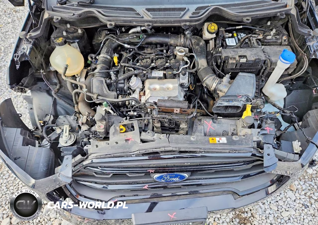2021 Ford Ecosport S VIN:MAJ3S2FE0MC404562 - 12