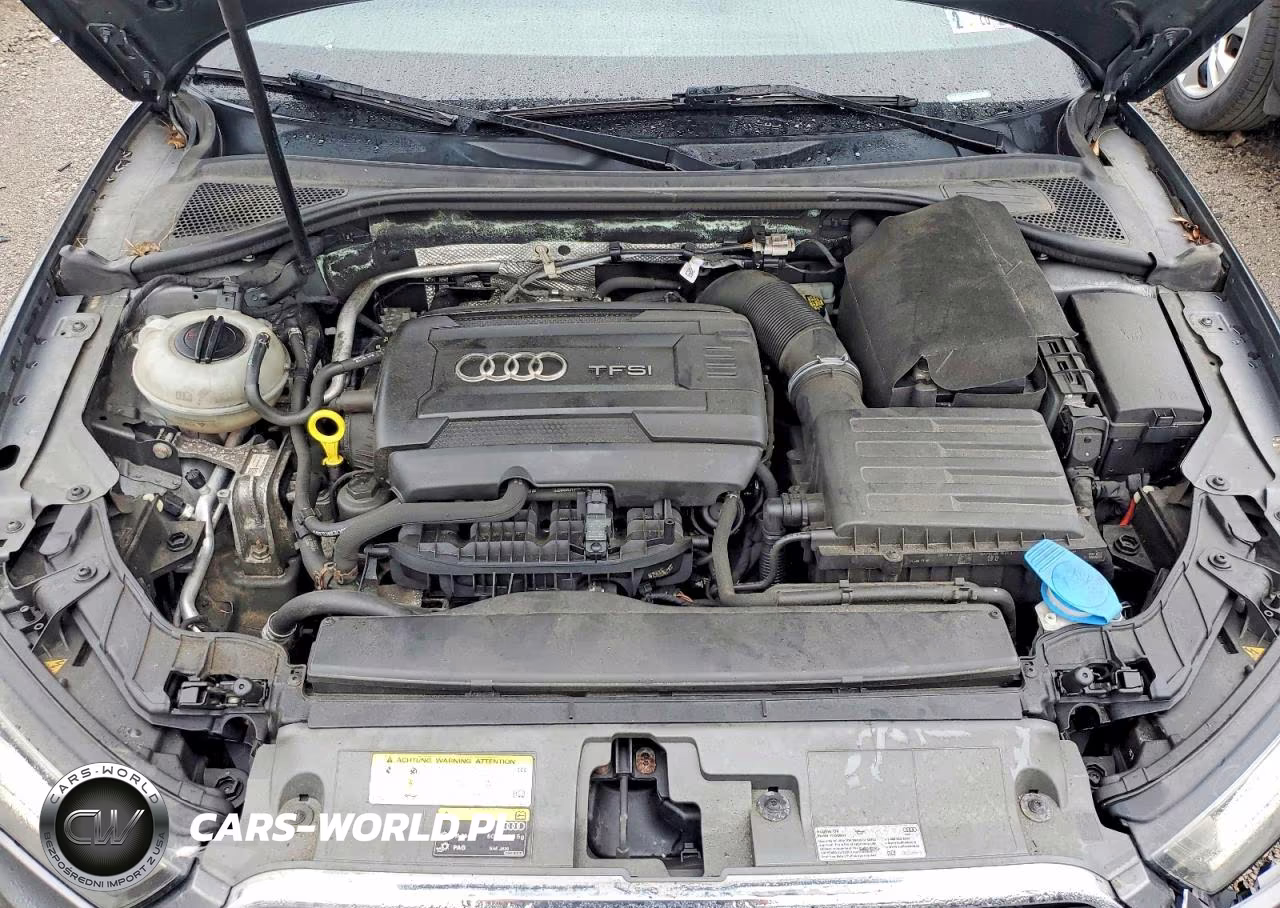 2016 Audi A3 Premium Plus VIN:WAUE8GFF5G1117948 - 11