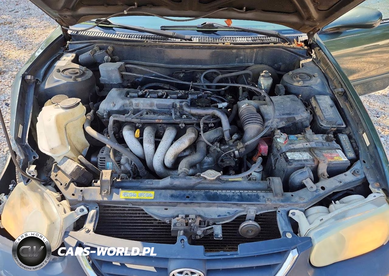 2001 Toyota Corolla Le VIN:2T1BR12E21C499050 - 11