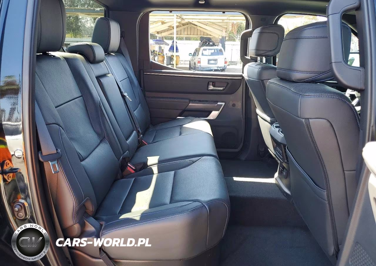 2025 Toyota Tundra Platinum VIN:5TFWA5DB3SX257499 - 10