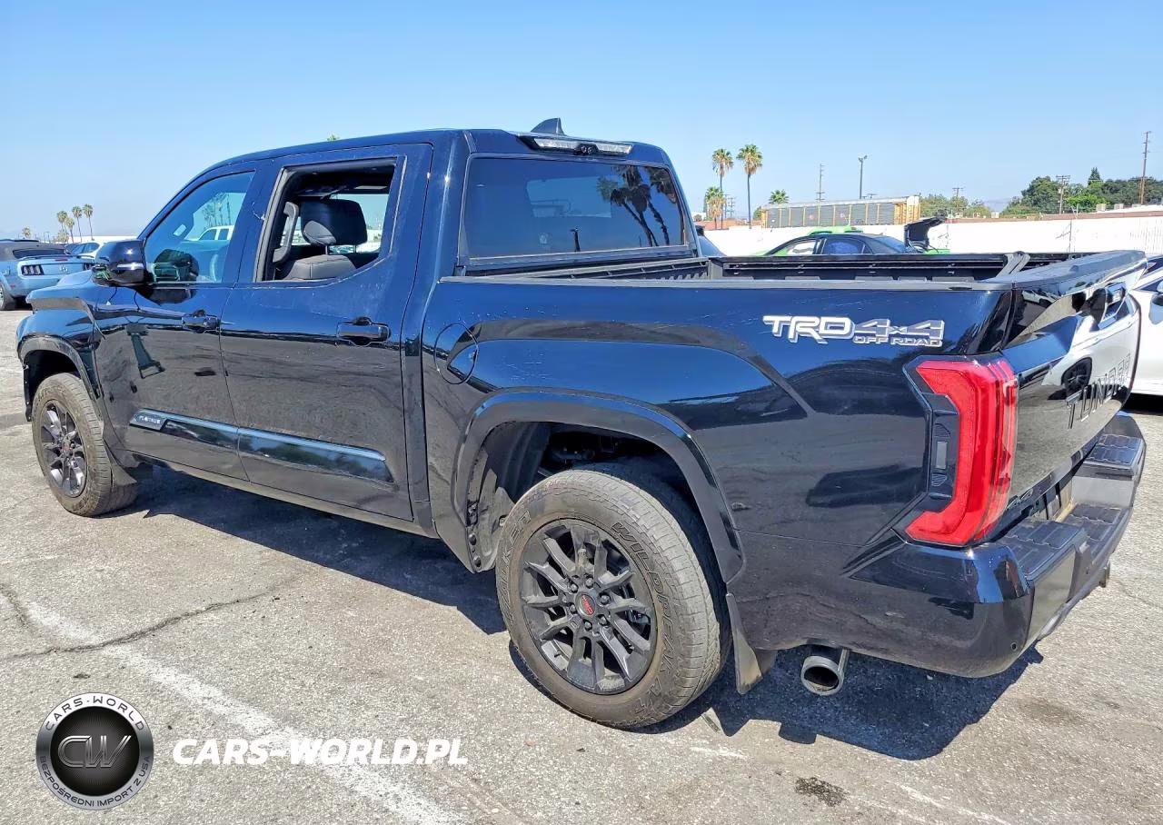 2025 Toyota Tundra Platinum VIN:5TFWA5DB3SX257499 - 2
