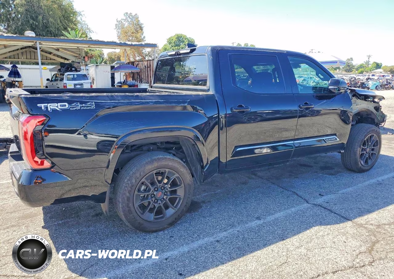 2025 Toyota Tundra Platinum VIN:5TFWA5DB3SX257499 - 3