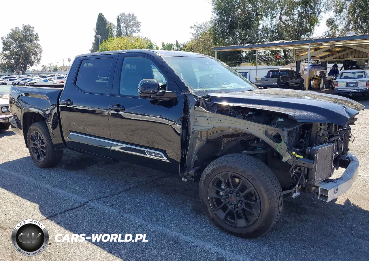 2025 Toyota Tundra Platinum VIN:5TFWA5DB3SX257499 - 4