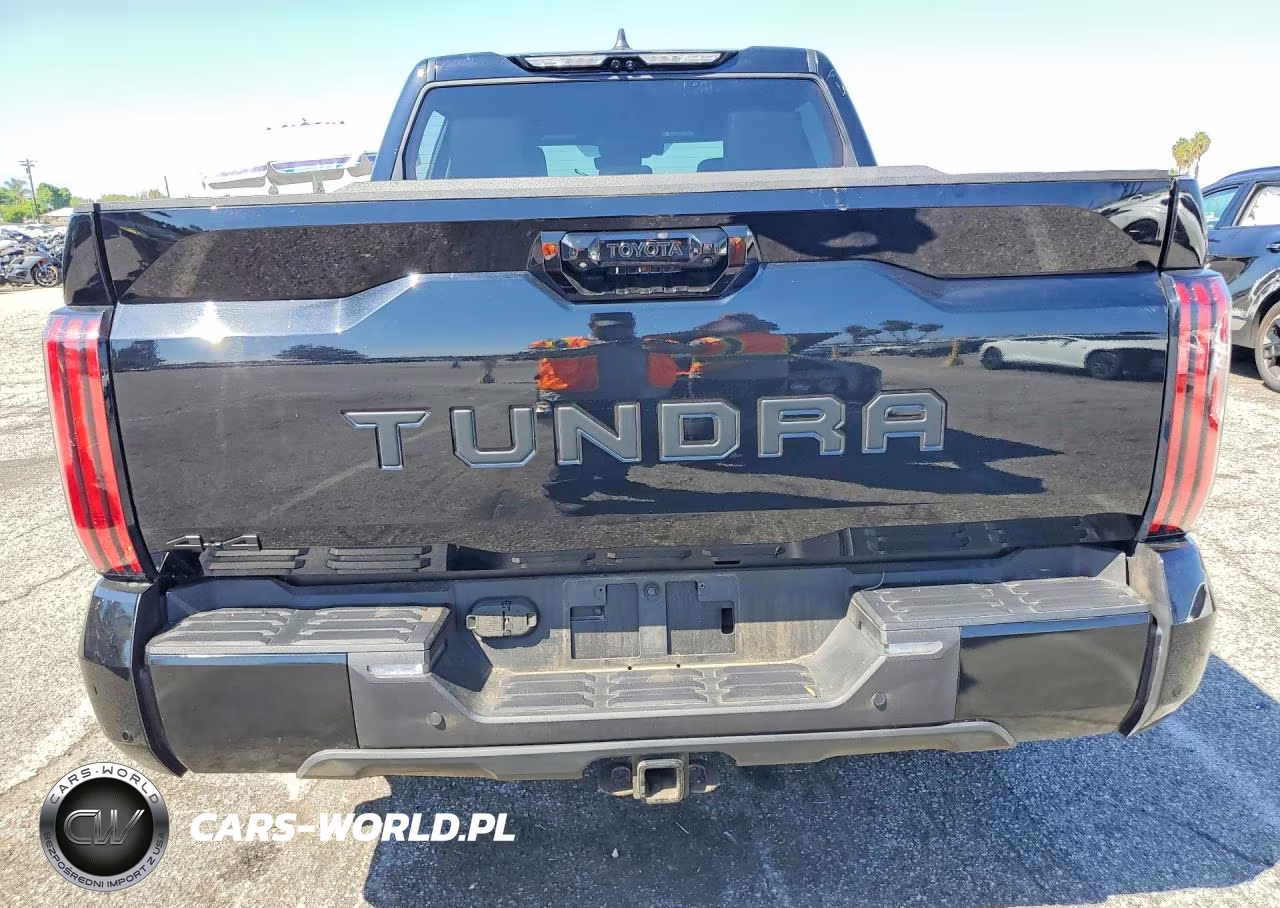 2025 Toyota Tundra Platinum VIN:5TFWA5DB3SX257499 - 6