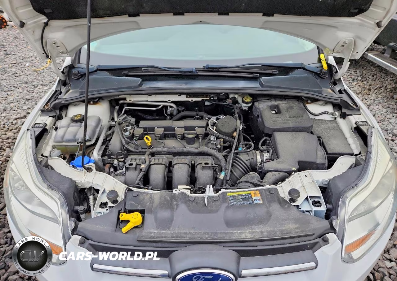 2012 Ford Focus S VIN:1FAHP3E26CL319728 - 11