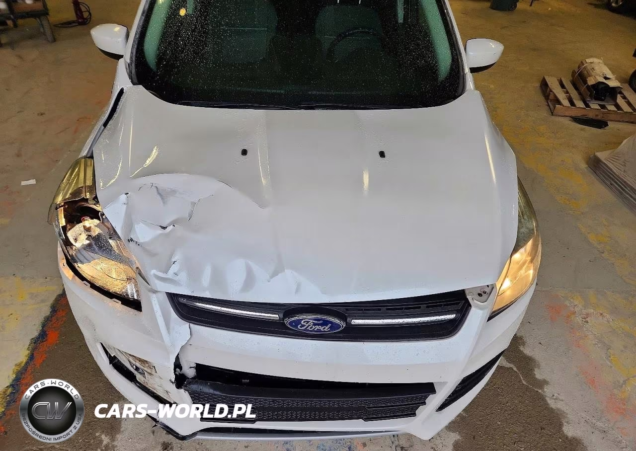 2015 Ford Escape Se VIN:1FMCU0G78FUB47376 - 12