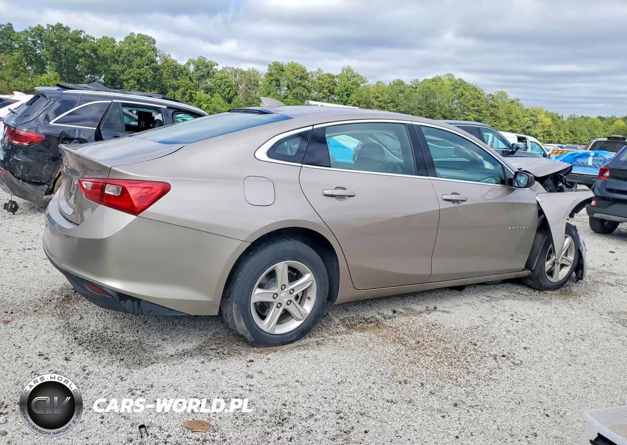2023 Chevrolet Malibu Lt VIN:1G1ZD5ST9PF176772 - 3
