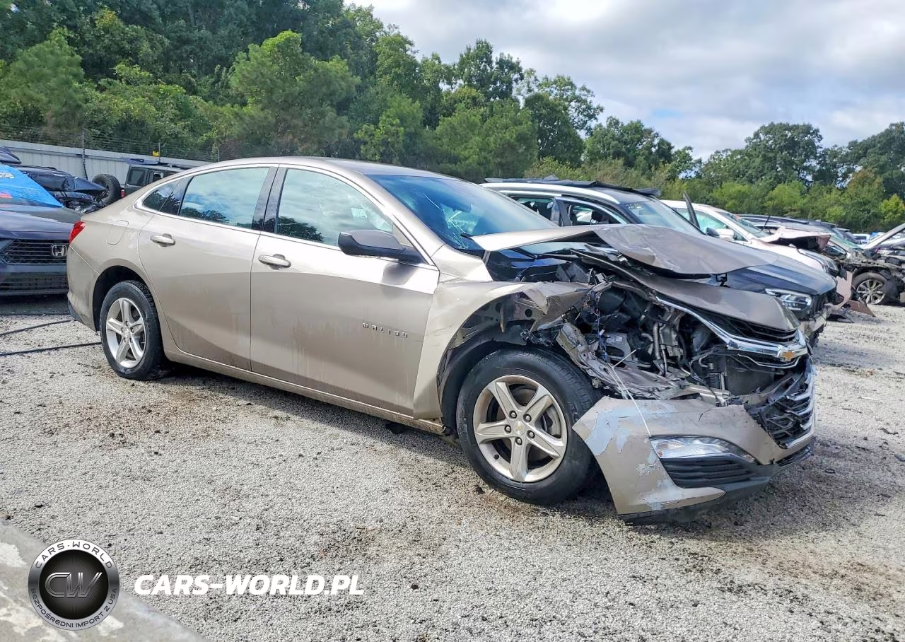 2023 Chevrolet Malibu Lt VIN:1G1ZD5ST9PF176772 - 4