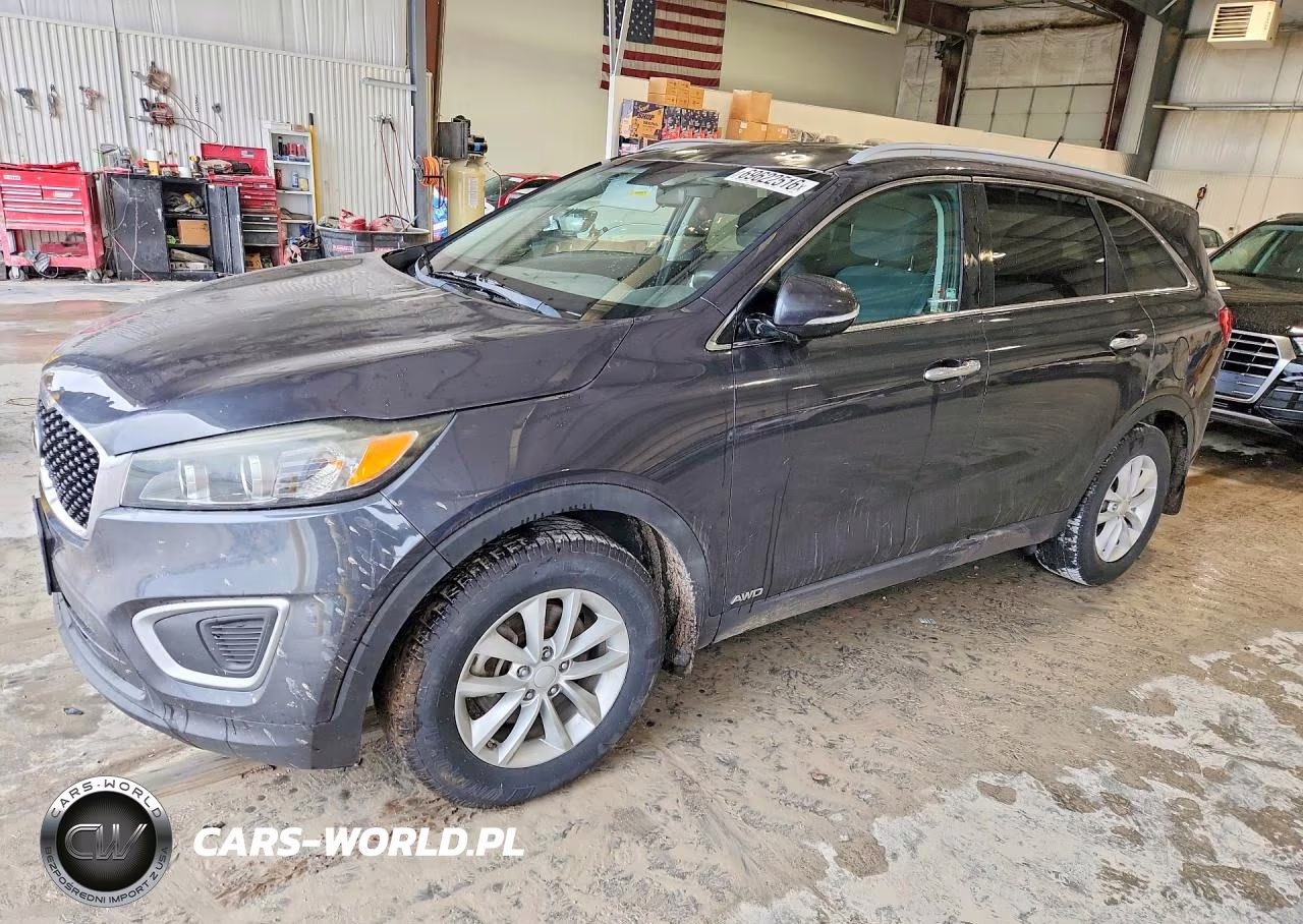 2017 Kia Sorento Lx VIN:5XYPGDA38HG246309 - 1