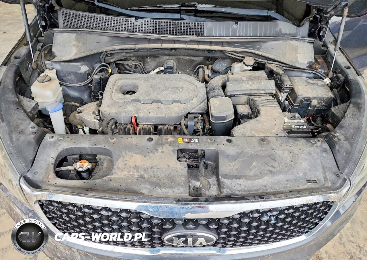 2017 Kia Sorento Lx VIN:5XYPGDA38HG246309 - 12