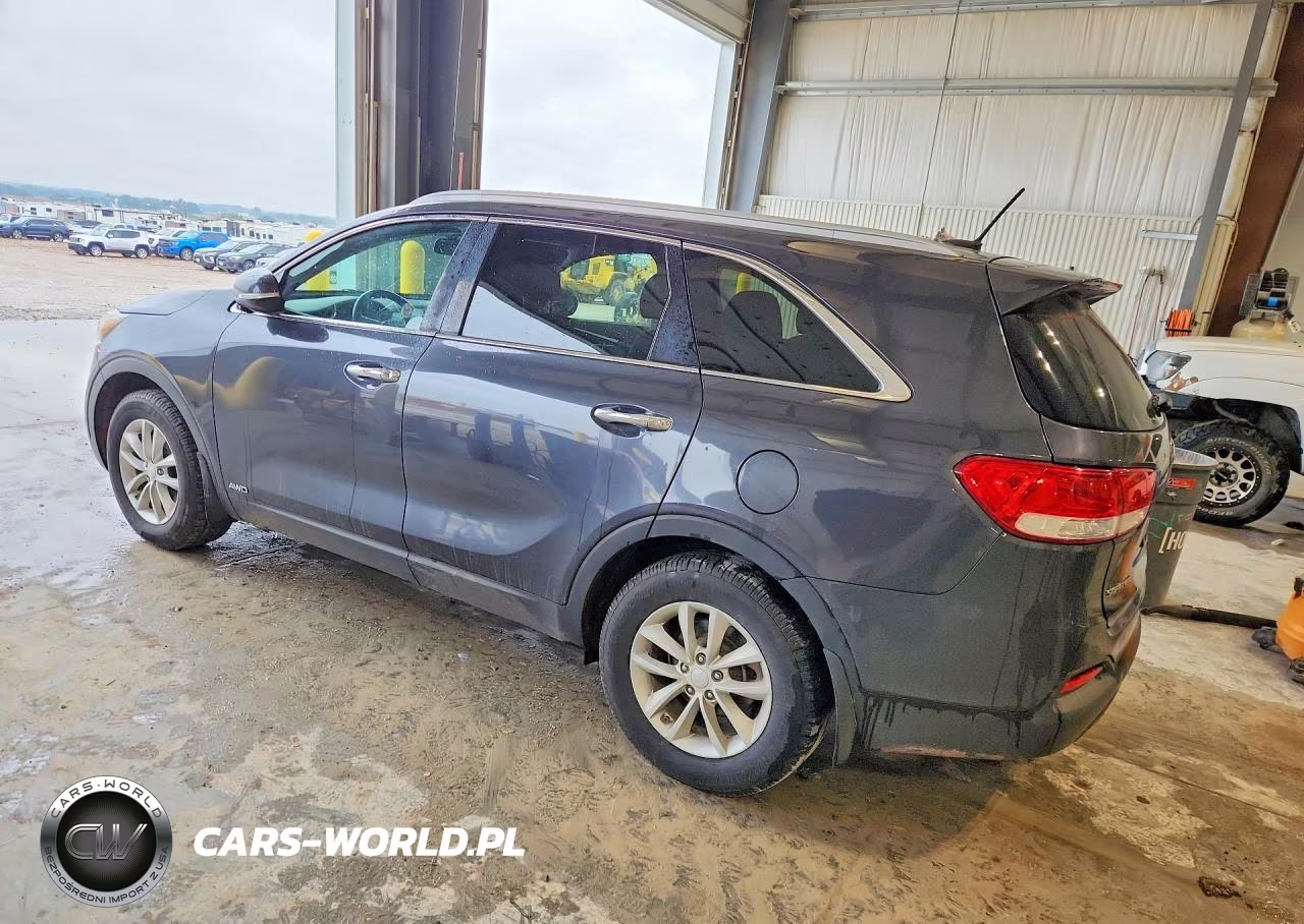 2017 Kia Sorento Lx VIN:5XYPGDA38HG246309 - 2
