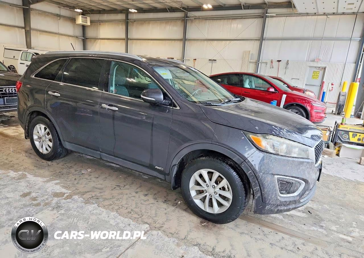 2017 Kia Sorento Lx VIN:5XYPGDA38HG246309 - 4